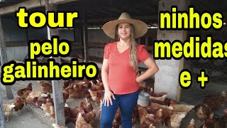 TOUR COMPLETO NO GALINHEIRO | MEDIDAS , QUANTIDADE DE NINHOS E pathy vida na roça TOUR COMPLETO NO GALINHEIRO | MEDIDAS , QUANTIDADE DE NINHOS E pathy vida na roça