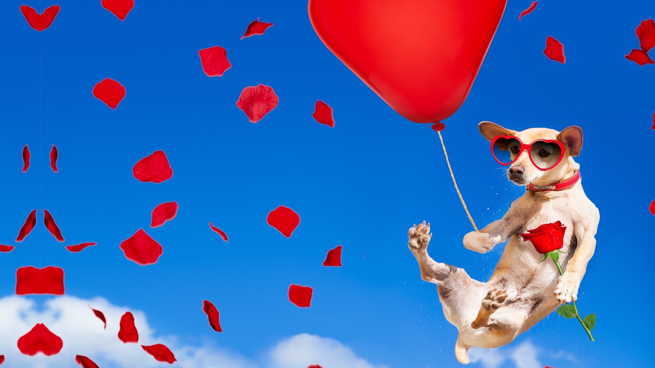 Animal Jumping Competition - A Parenting Trick