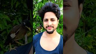 সালিক পাখি || friendly Bird #friendlybirds #funny #cutebirds #minivlog #comedy