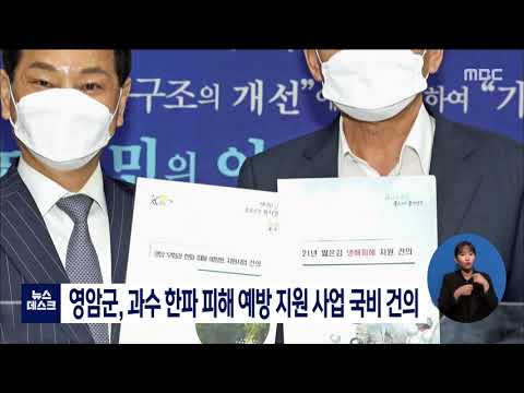 영암군, 과수 한파 피해 예방 <strong>지원</strong> <strong>사업</strong> <strong>국비</strong> 건의 [목포MBC 뉴스데스크]