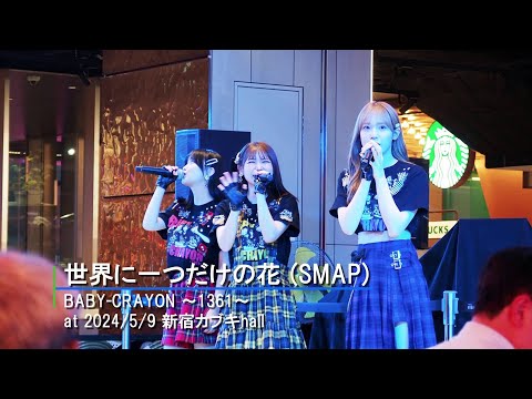 BABY-CRAYON「世界に一つだけの花」(SMAP)カバー '24/5/9 カブキhall