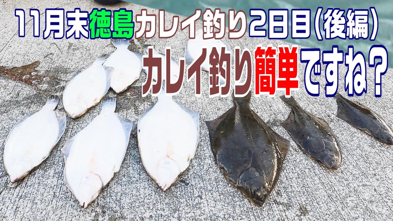 カレイRUSH突入！？カレイ釣れまくり仕掛けも紹介！徳島カレイ釣り遠征２日目（後編）　【魚神の釣りいかれへんわ】