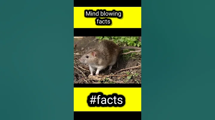 Amazing facts about Animals l #shorts #facts #viral