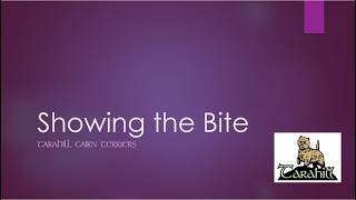 Showing the Bite Training   SD 480p
