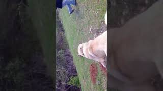 IMG 1959