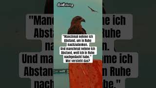 Nicht jeder Abstand ist eine Pause.. #still  #ruhe  #zitate  #frieden  #shorts  #klarheit #mindset
