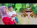 ADA KODOK RAKSASA LOMPAT DI KALI 😱 SAAT BERBURU SERANGGA