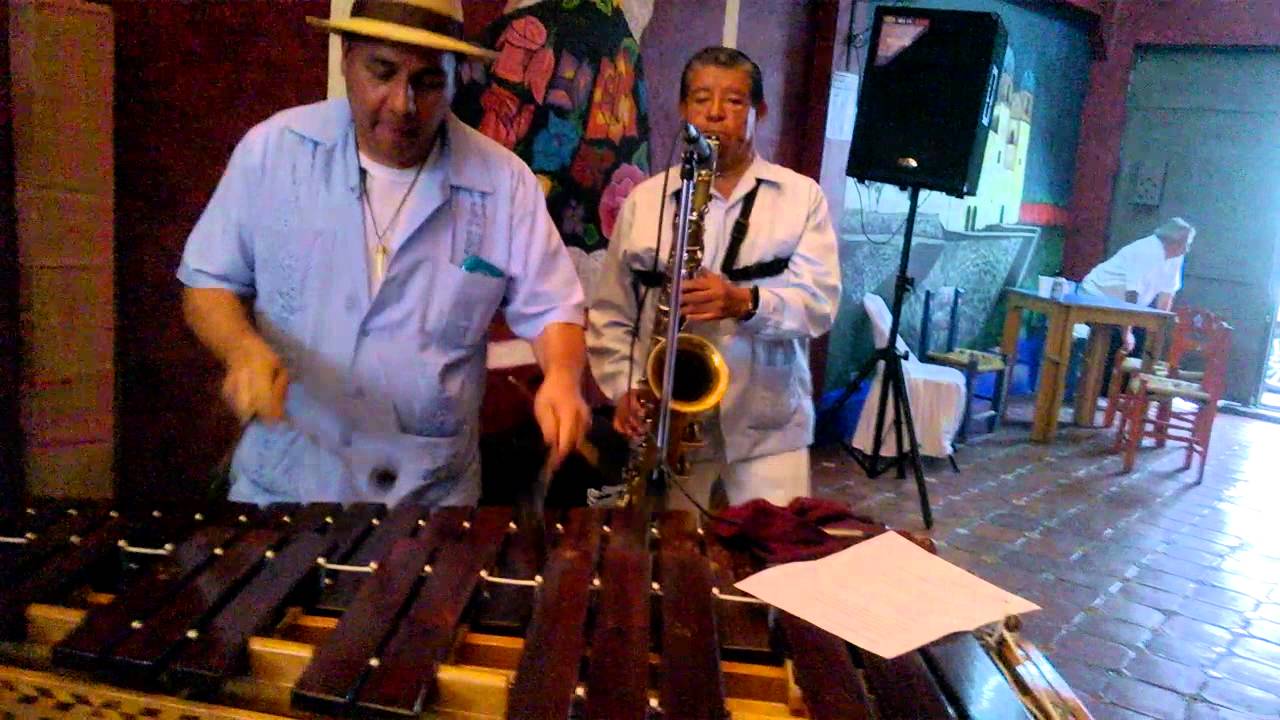 LA COTORRA GORRONA YouTube