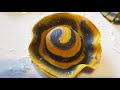 Cappellacci a spirale con colori naturali. how to make ravioli with a hat shape.