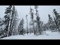 Ravens copping with a cold winter