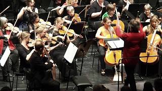 Eduard Strauß: Witzblitz Polka - Symphonieorchester Wilde Gungl