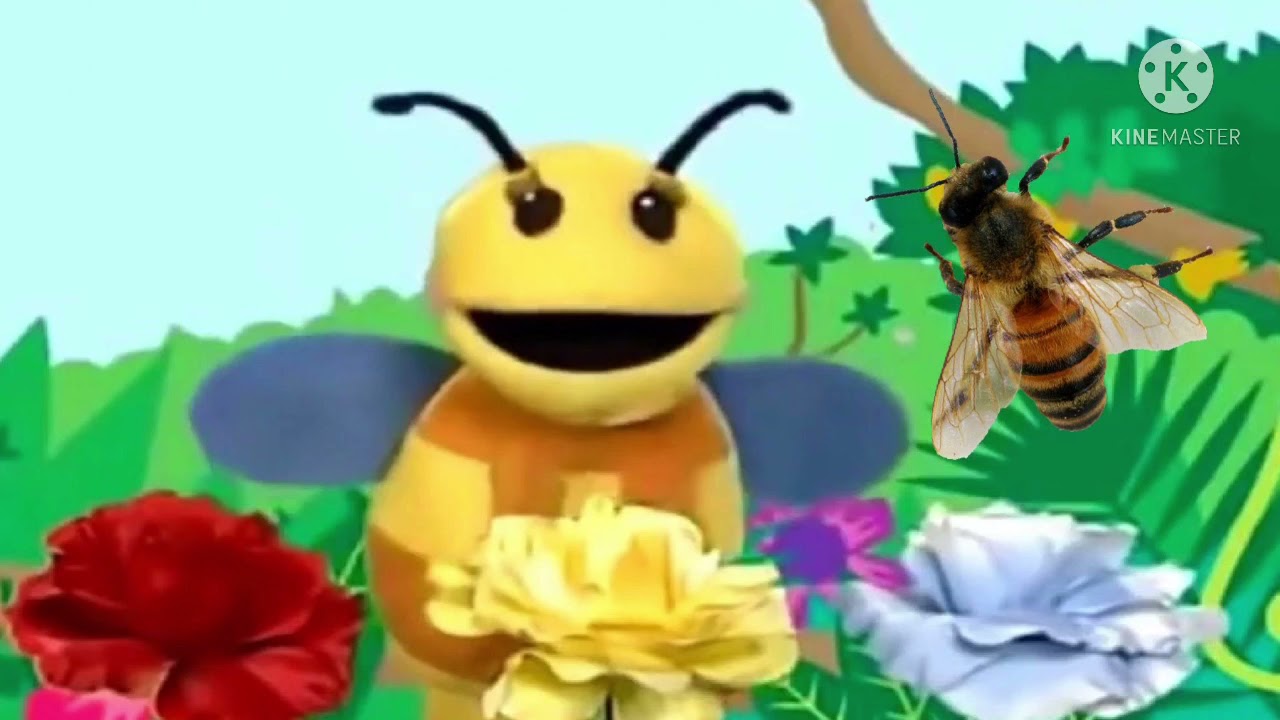 Flight of the Bumblebee by Nikolai RimskyKorsakov YouTube