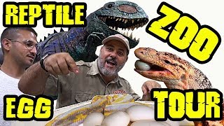 Reptile  Room Tour ( EATING EGGS )