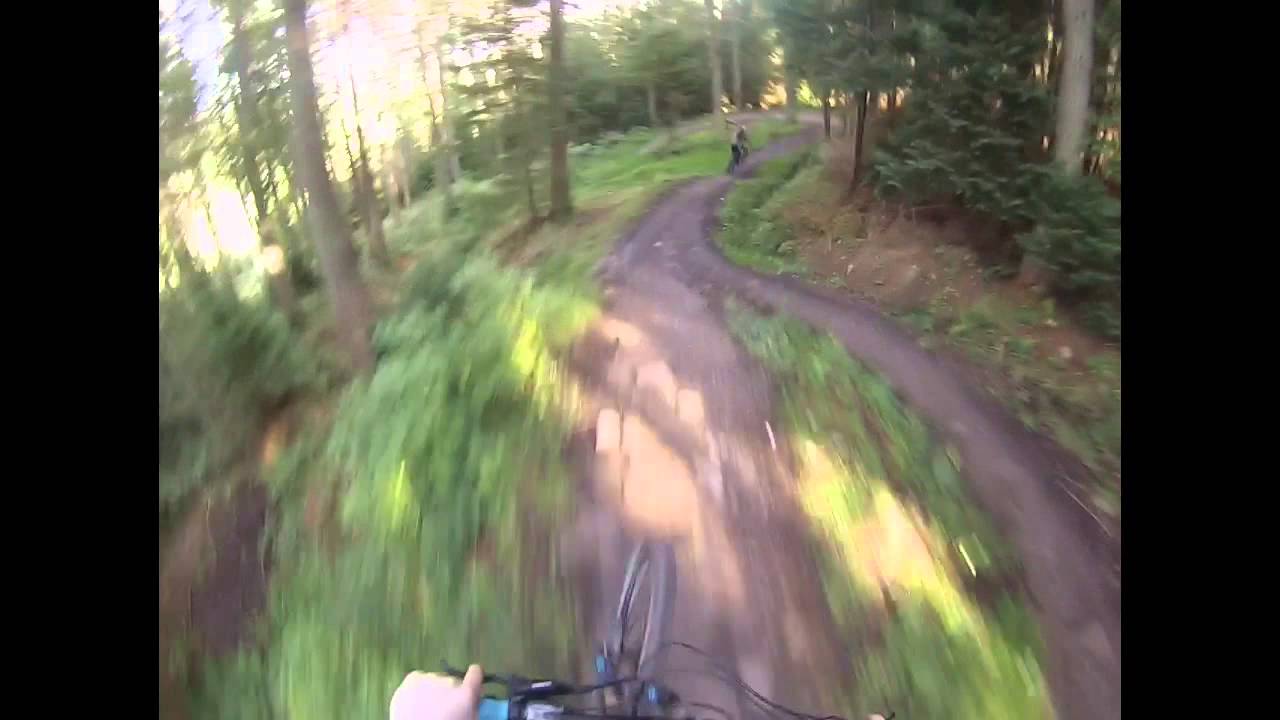 Hamsterly forest go pro edit