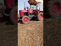 #sorts #video
