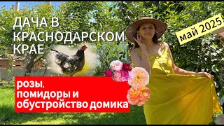 картинка: ДАЧА В МАЕ 2025 - ЦВЕТЫ, ОВОЩИ, КЛУБНИЧКА И ОБУСТРОЙСТВО ДОМИКА!