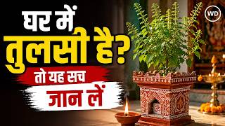 Tulsi Plant Benefits | घर में तुलसी का पौधा क्यों जरूरी है? जानें वैज्ञानिक और धार्मिक कारण