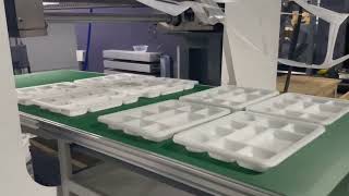 Thermoforming machine connect Tray/Blow/Cup/Cup lid packing machine.#machine #thermoforming
