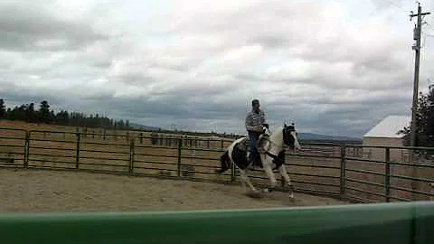 UNDER SADDLE