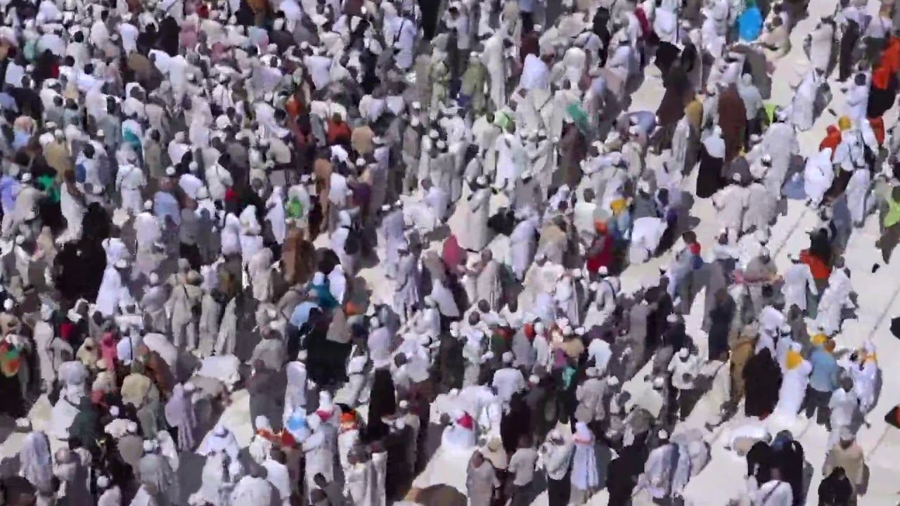 الحاج احمد افراح الحج بالمزمار والافراح الحج  حج جامدة جد