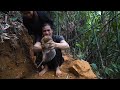 A delicious meal with a taste of happiness  2 years of survival in the rainforest  episode 50