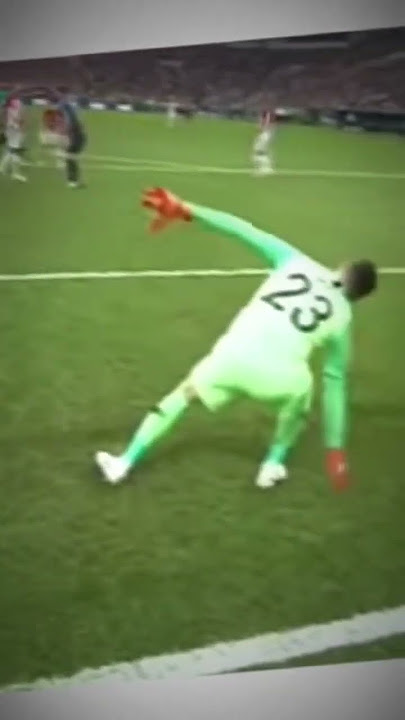 dj happy happy ajalah Pogba piala dunia##2018shorts