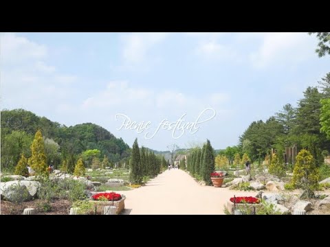 더 스테이 힐링파크 피크닉 페스티벌 & 해피그라운드