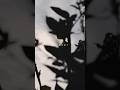 FINLANDS - yellow boost (Music Video) #FINLANDS #yellowboost #musicvideo