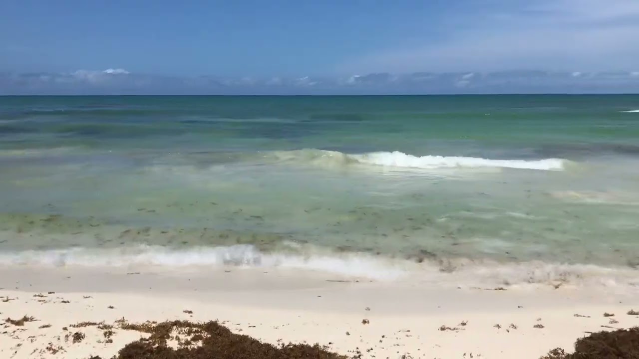 Beachfront - Iberostar Pariso Beach Club Resort - Playa del Carmen (area?) Mexico 🇲🇽 - June24