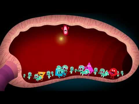 Get Get Get - grapes! (directed by Volstok Telefunken)
