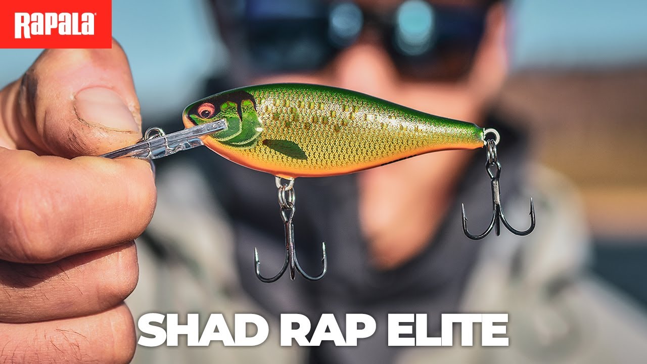 NEW Rapala® Shad Rap® Elite 