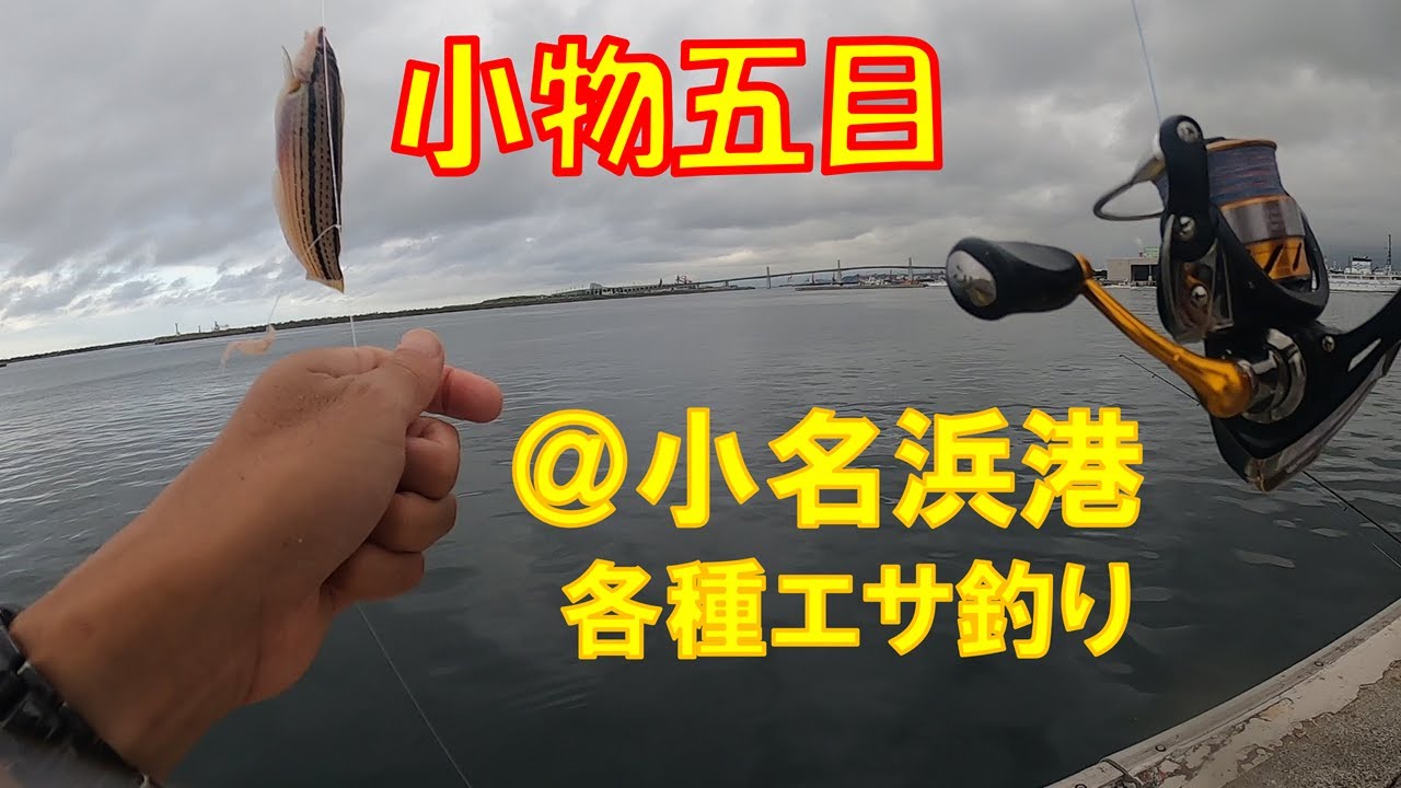 一応・五目釣りの季節＠小名浜港