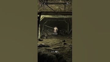 Killing Random NPCs In Skyrim Until The Elder Scrolls 6 (Week 48)