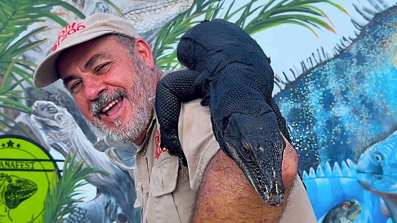 THE BIGGEST REPTILE ZOO EVER YouTube the-biggest-reptile-zoo-ever-youtube