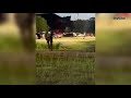 Army CID investigates deadly shooting at Fort Hood lake area