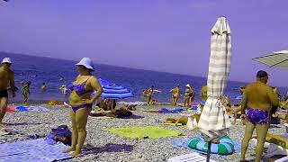 лазаревское пляж дельфин 2018