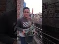 आज का संडे व्लॉग 😄 | तुलसी जी, हरियाली और मज़ेदार डांस best funny vide#shorts#viral #vlogs#trending
