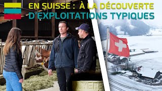 S2 - E11 : À LA DÉCOUVERTE D'EXPLOITATIONS TYPIQUES DE SUISSE 🇨🇭🧀🐄  #1/2