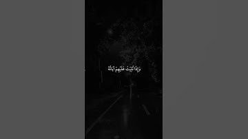 الراحه النفسيه _ القرآن الكريم _ آيات قصيره انستكرام _ حالات واتس اب _#الشيخ_ماهر_المعيقلي