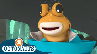Octonauts  The Mudskippers | Cartoons for Kids | Underwater Sea Education
