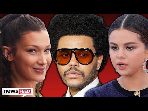 Selena Gomez DRAGGED By The Weeknd Fans Over Bella Hadid Breakup!