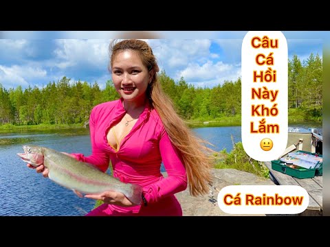 Video: Đi Câu Cá ở đâu