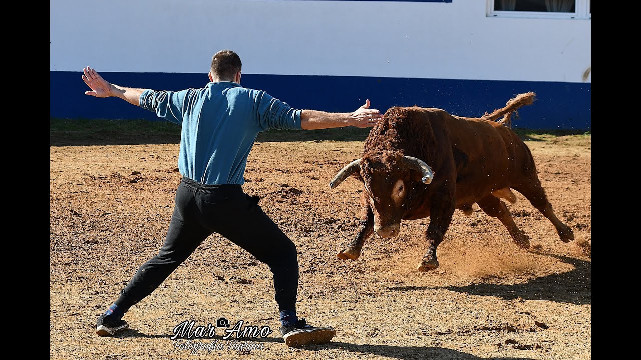 Capeia Voltalegre 2022