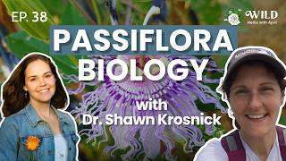 Passionflower Floral Structure, Pollination Biology & Fruit Dispersal w/ Dr. Shawn Krosnick | EP 38