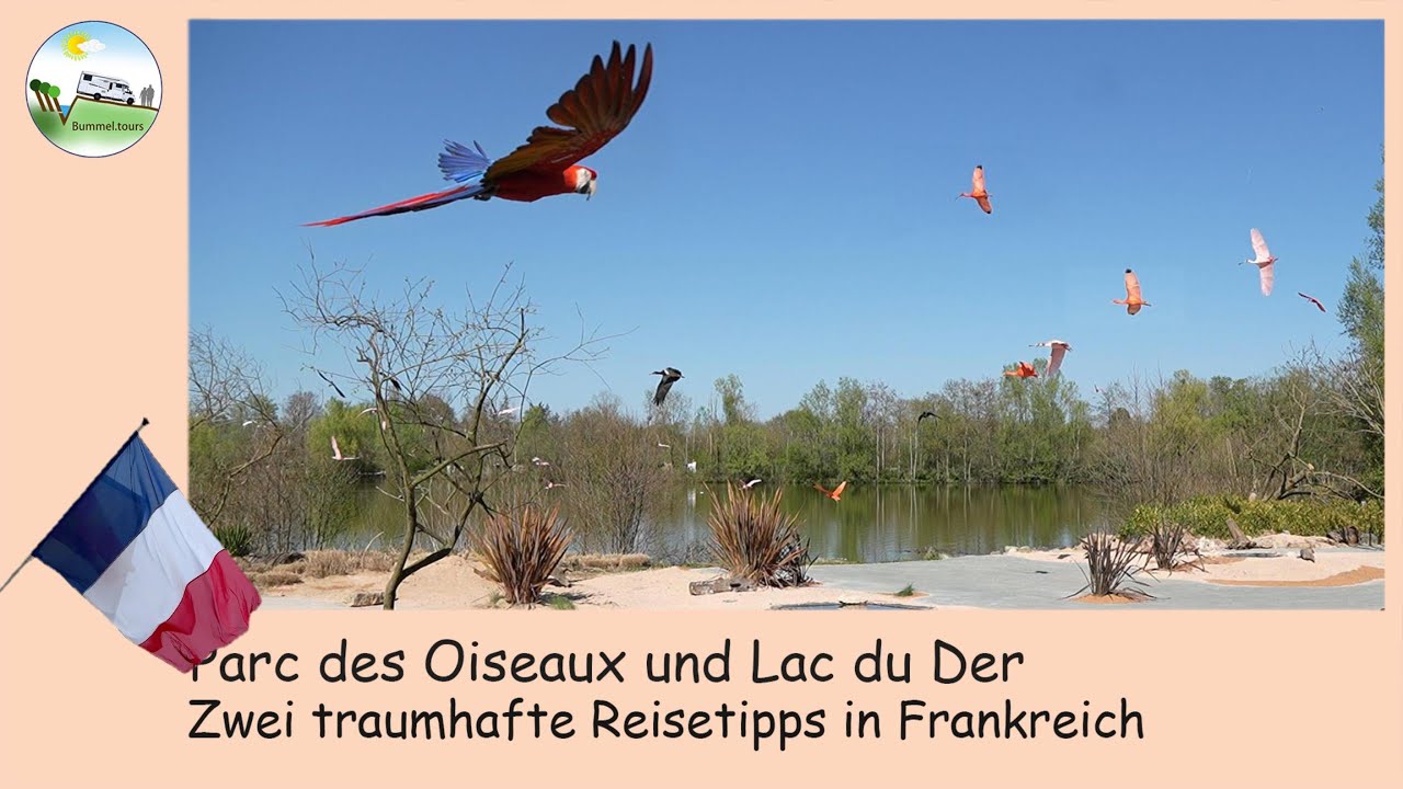 Parc des Oiseaux und Lac du Der - Zwei traumhafte Reisetipps in Frankreich