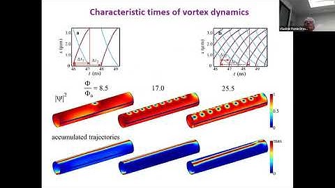 Topology- and Geometry-Controlled Functionalization of Nanostructured Metamaterials I