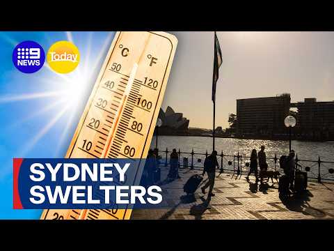 Total fire ban as Sydney braces for scorcher | 9 News Australia