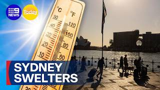 Total fire ban as Sydney braces for scorcher | 9 News Australia