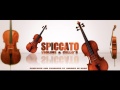 Music : Spiccato Violins &amp; Cello&#39;s