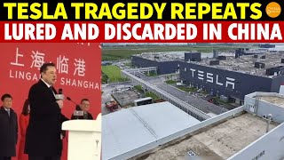 Tesla Tragedy Repeats! Following Motorola and Apple’s Path, Lured and Then Discarded in China